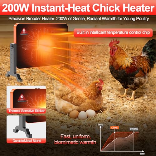 Best Chick Brooder Heater For Baby Chicks