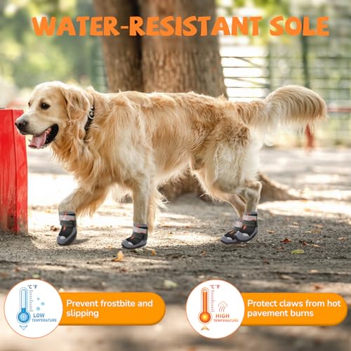 Best Dog Boots For Winter Snow