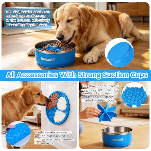 How To Slow Down A Dog That Eats Too Fast