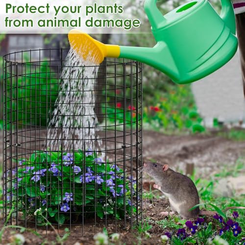 Best Plant Protector Cages To Keep Rabbits Away