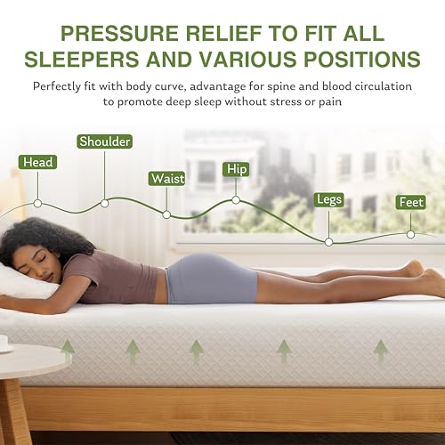 Best EGOHOME 10 Inch Queen Mattress Review