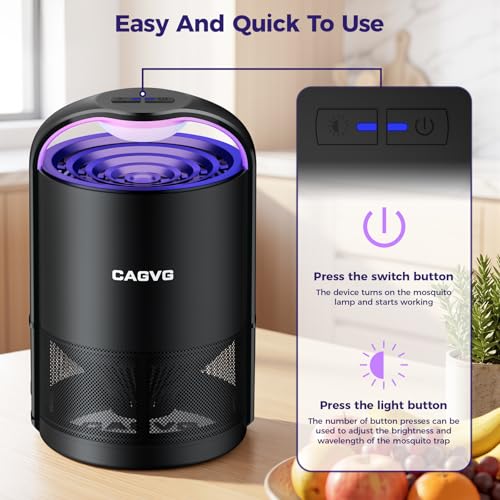 Best Indoor Flying Insect Trap